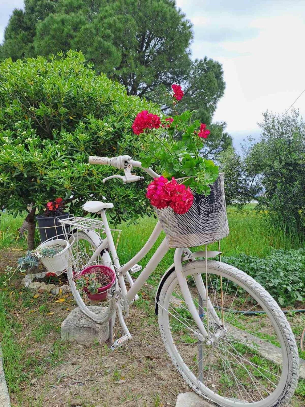 Corfu Lakeside Cottage Kanoni  Exterior foto